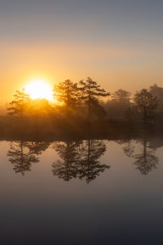 Peaceful sunrise casting light over a misty lake with tree reflections, creating a tranquil landscape.