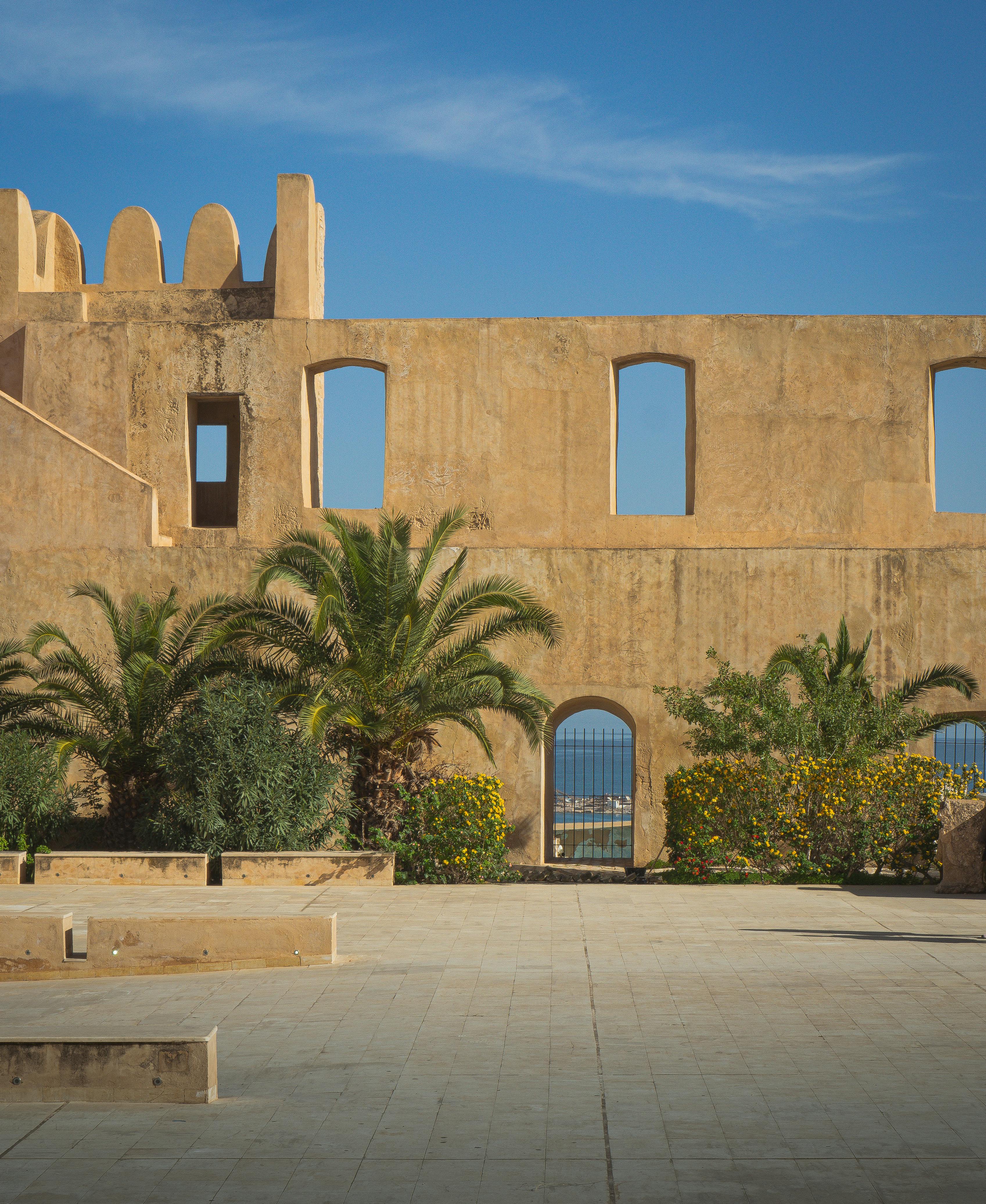 Explore the historic architecture of Sousse, Tunisia, featuring palm trees and clear blue skies.