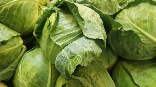 Free Close-Up Shot of Fresh Green Cabbages Stock Photo
