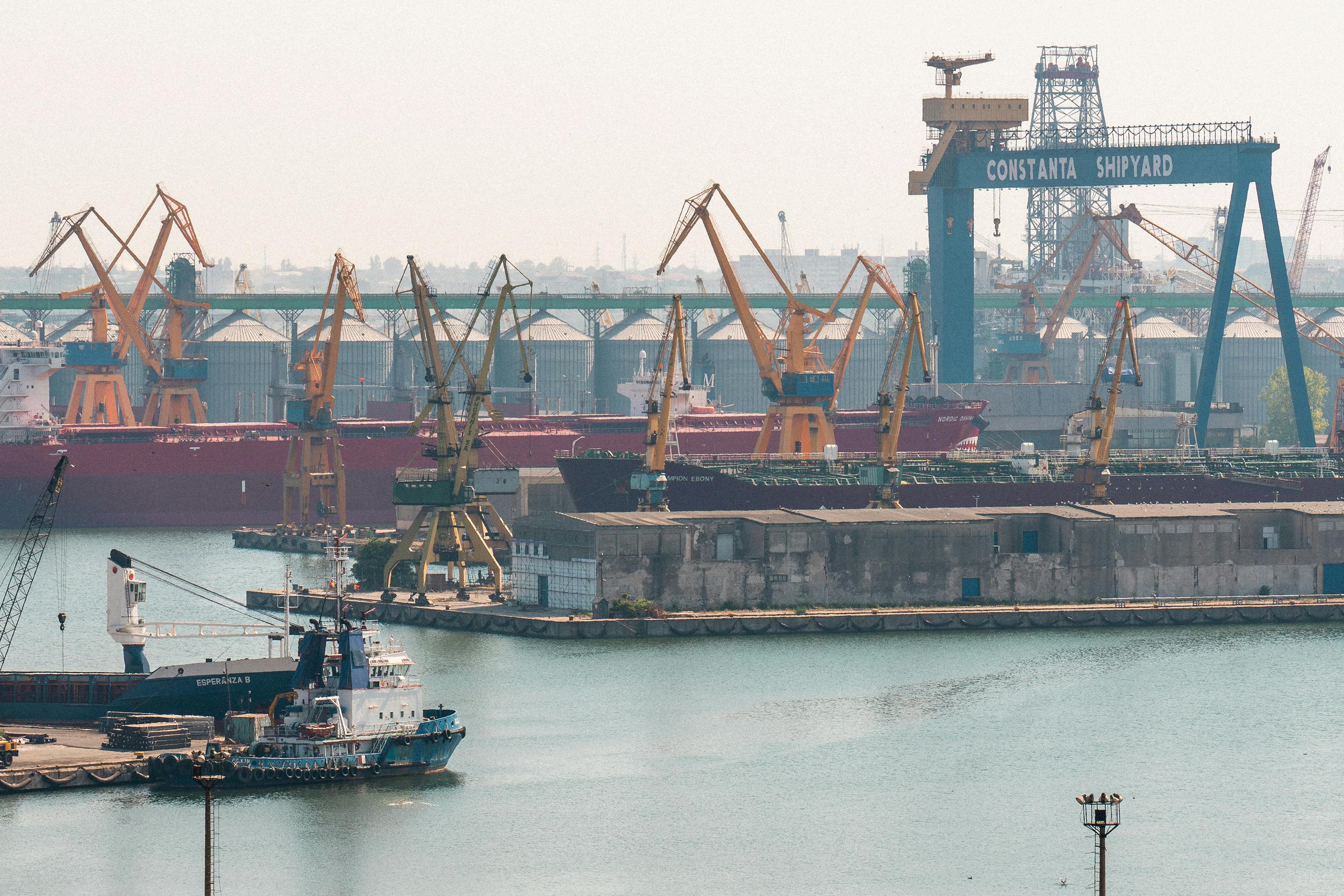 170 de cartușe de vânătoare neînregistrate, ascunse într-un container american, găsite în Portul Constanța!