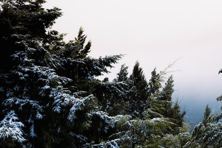 EASTGATE BUSINESS PARK