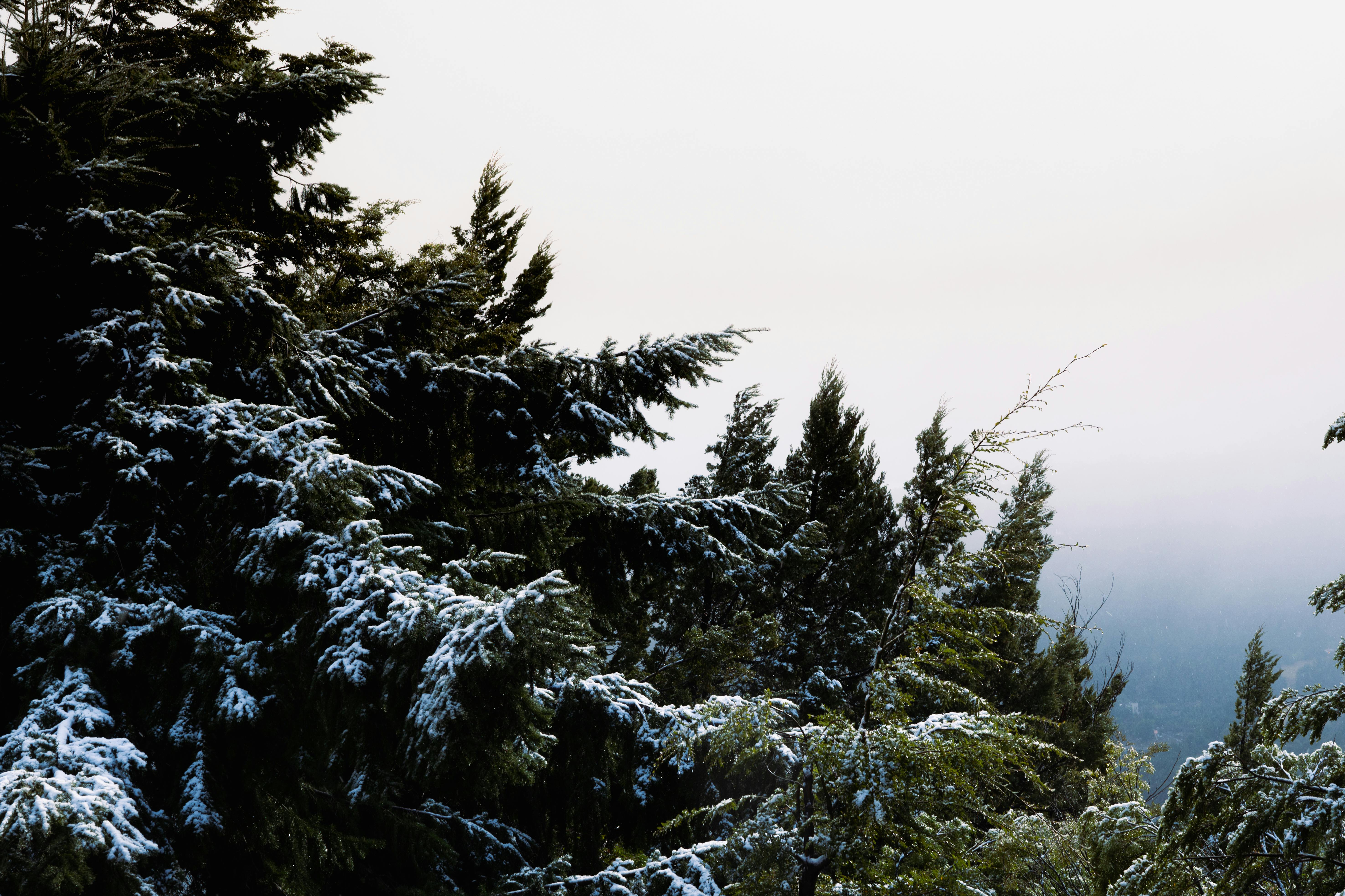 De franc Foto d'estoc gratuïta de @outdoor, a l'aire lliure, alba Foto d'estoc