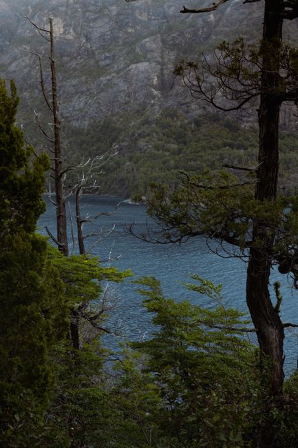 Tranquil view of a lake surrounded by dense forest in Bariloche, Argentina.