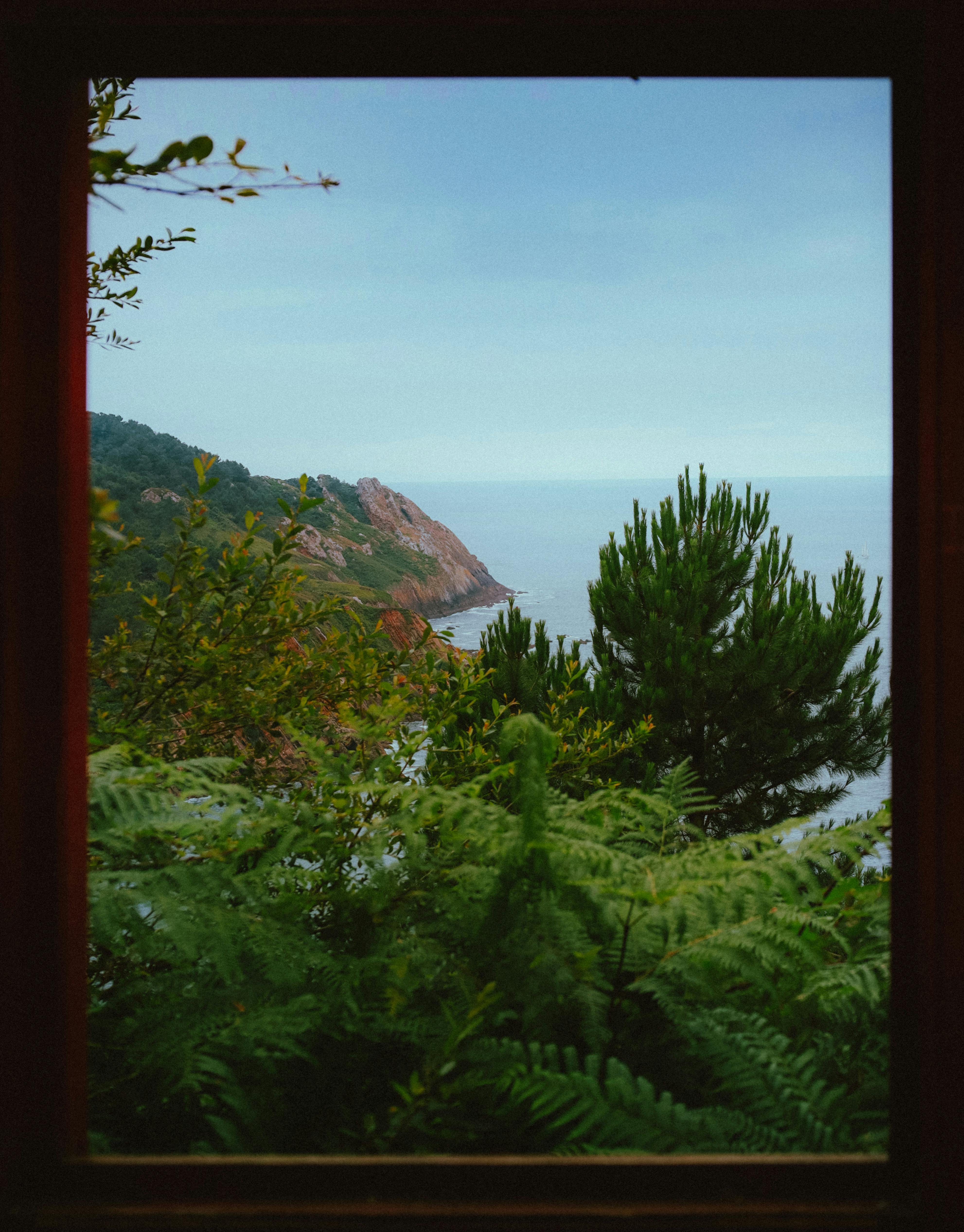 Serene coastal landscape viewed through a rustic window frame, capturing lush greenery and distant cliffs.
