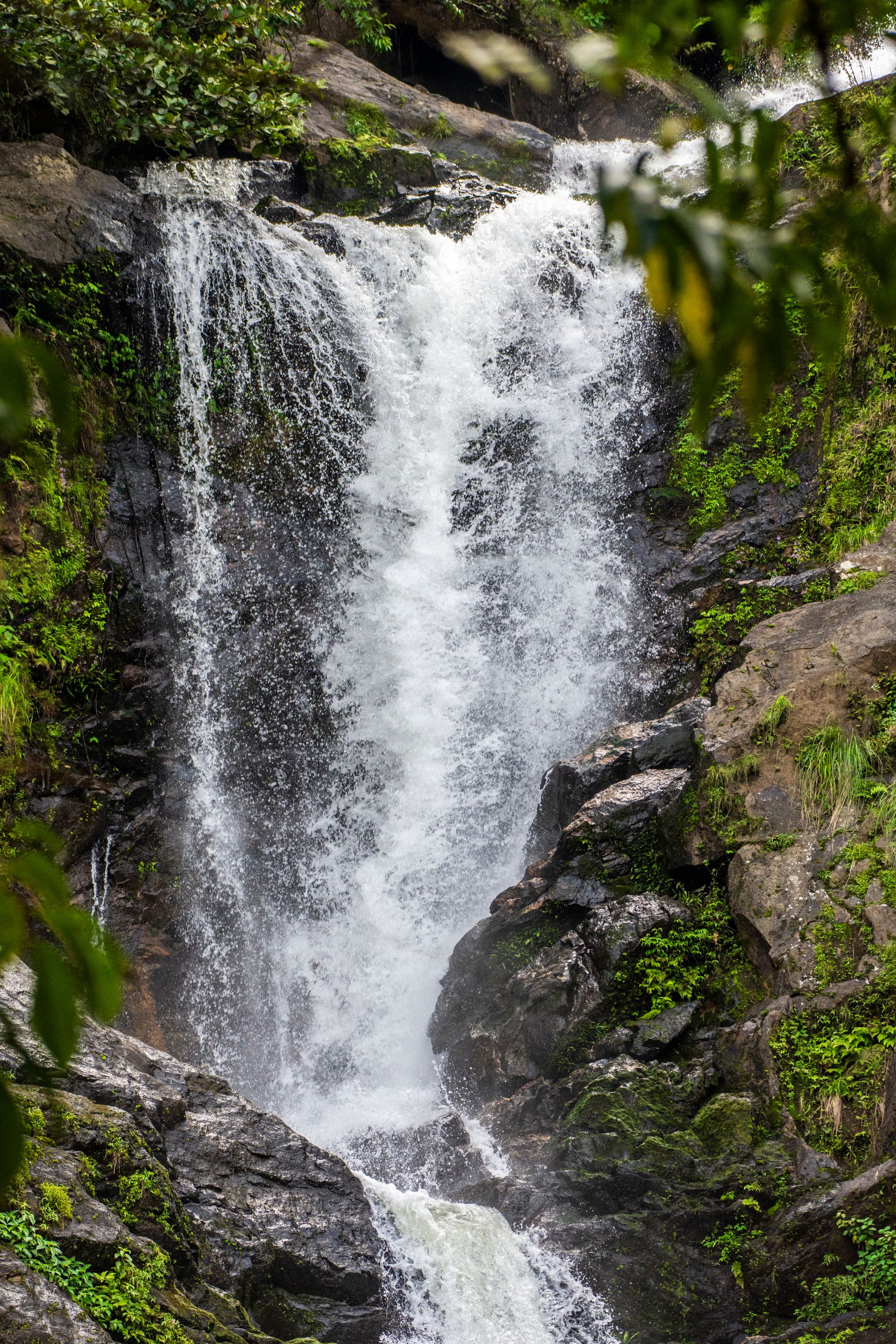 Group & Friends tour packages in India