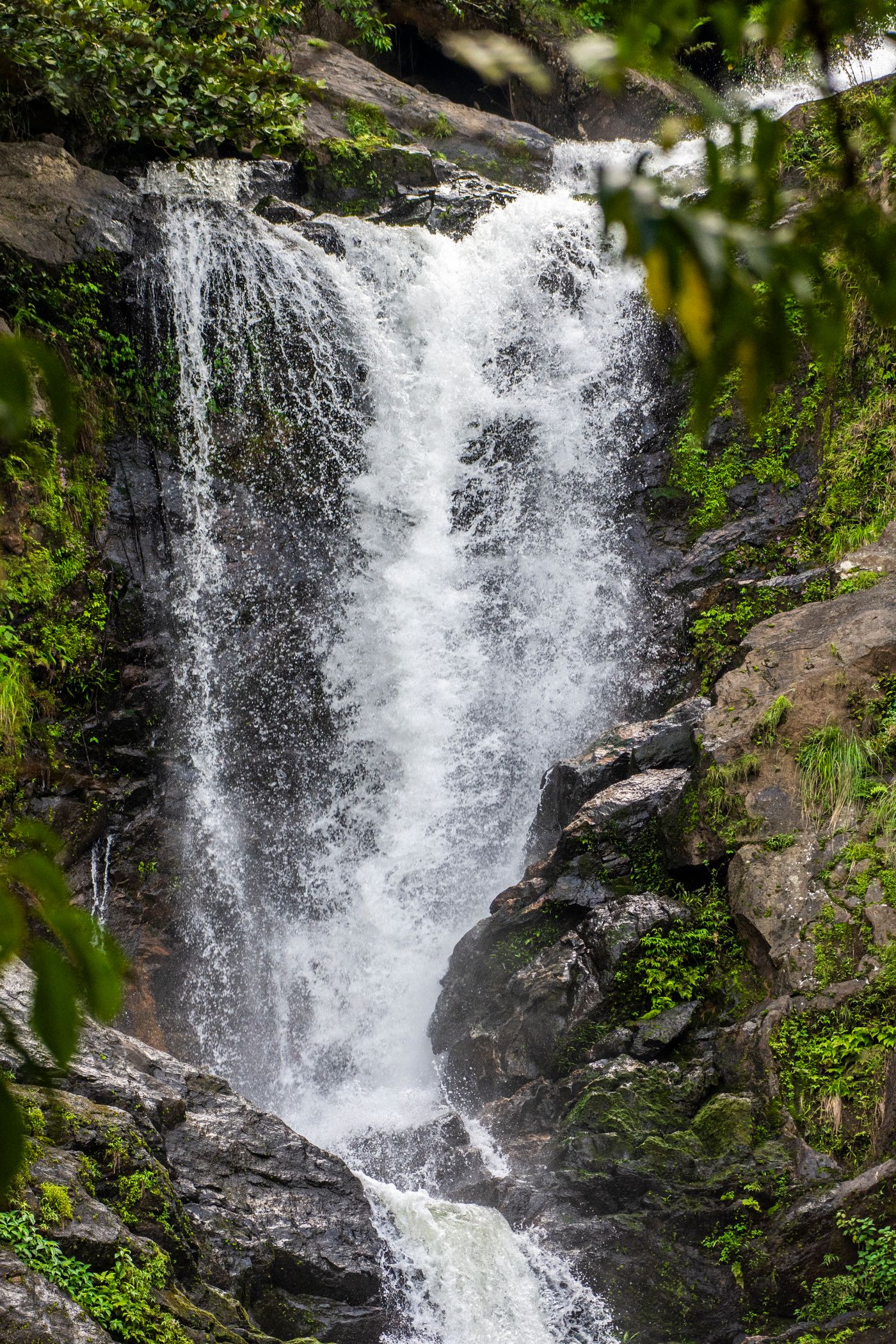 Waterfall dropping through Western Ghats forest — Kumily, Thekkady, representative image