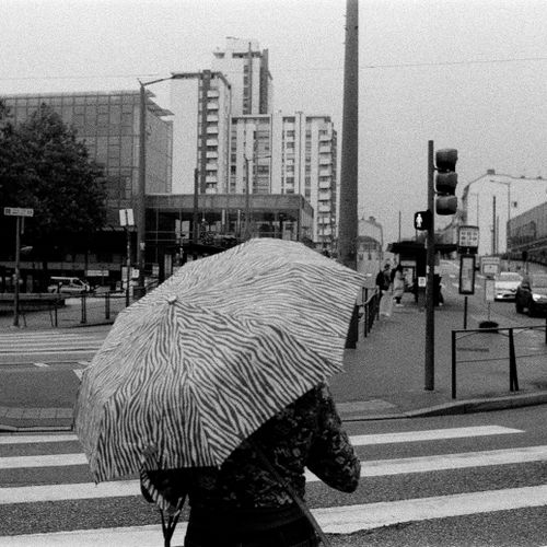 Free Black and white scene of a woman with an umbrella crossing a rainy street in Nancy, France. Stock Photo