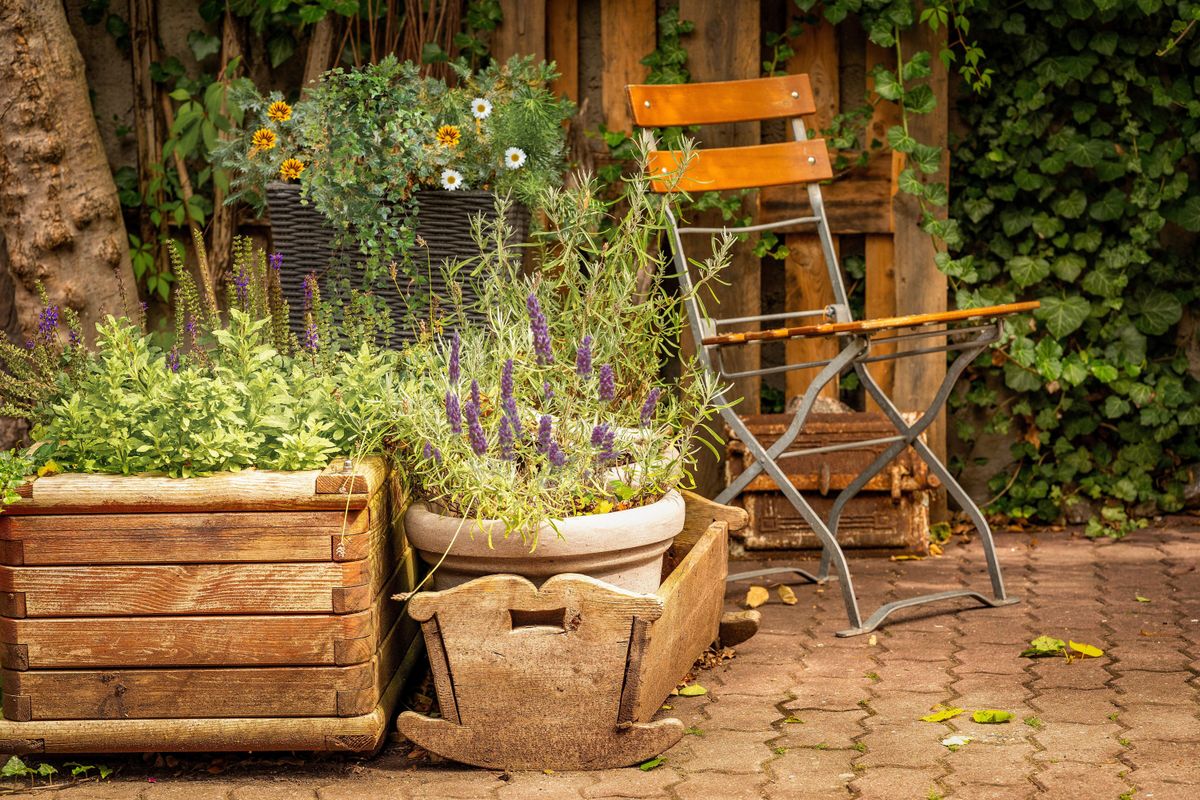 Schluss mit Garten-Langeweile: 1 kreative Tricks die wirken — Detail