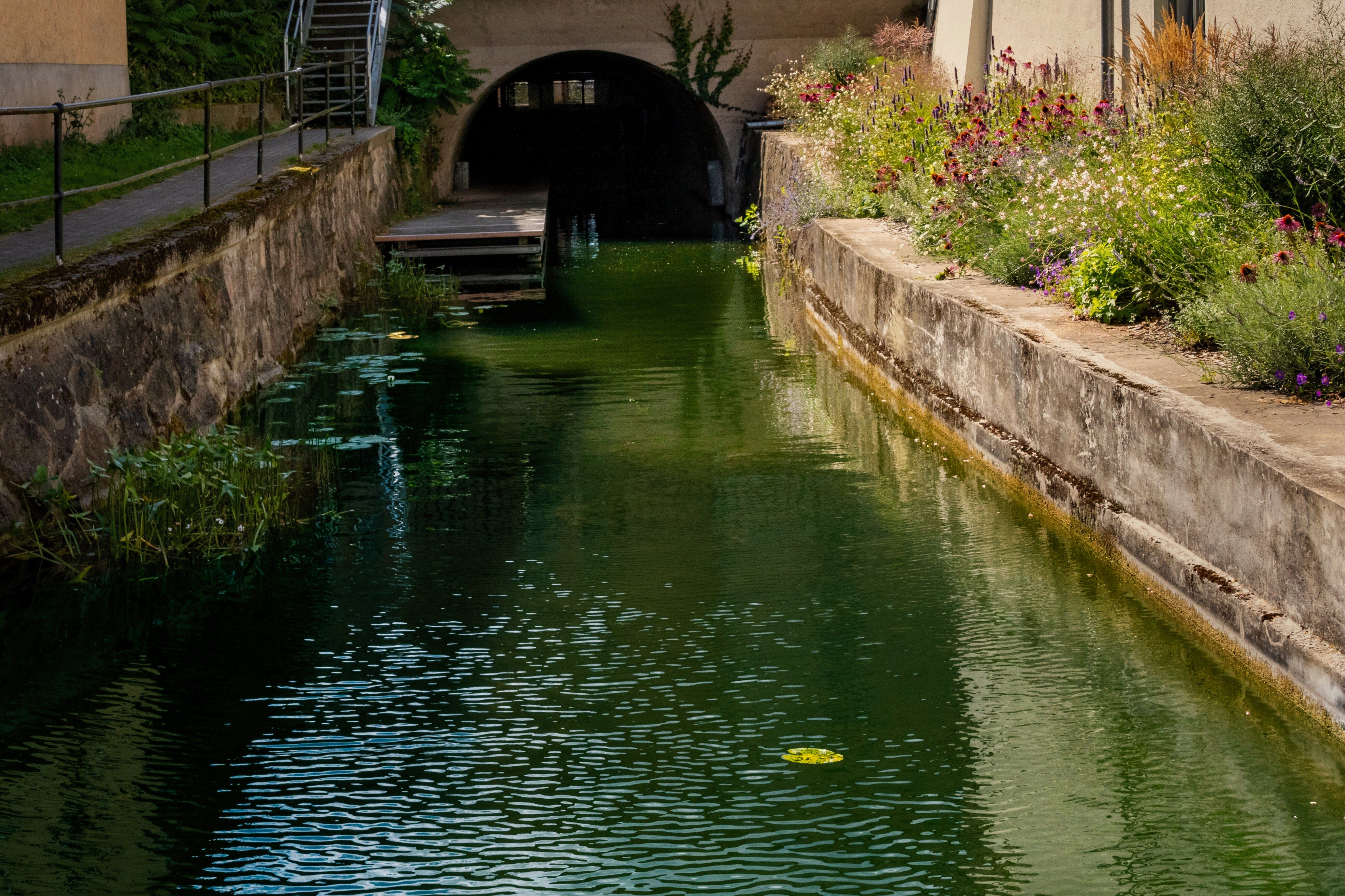 Lavoirs publics : piscines naturelles gratuites d'Europe