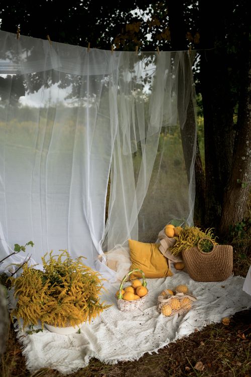 Free Idyllic outdoor setting with autumn colors and fresh fruit for a cozy picnic. Stock Photo