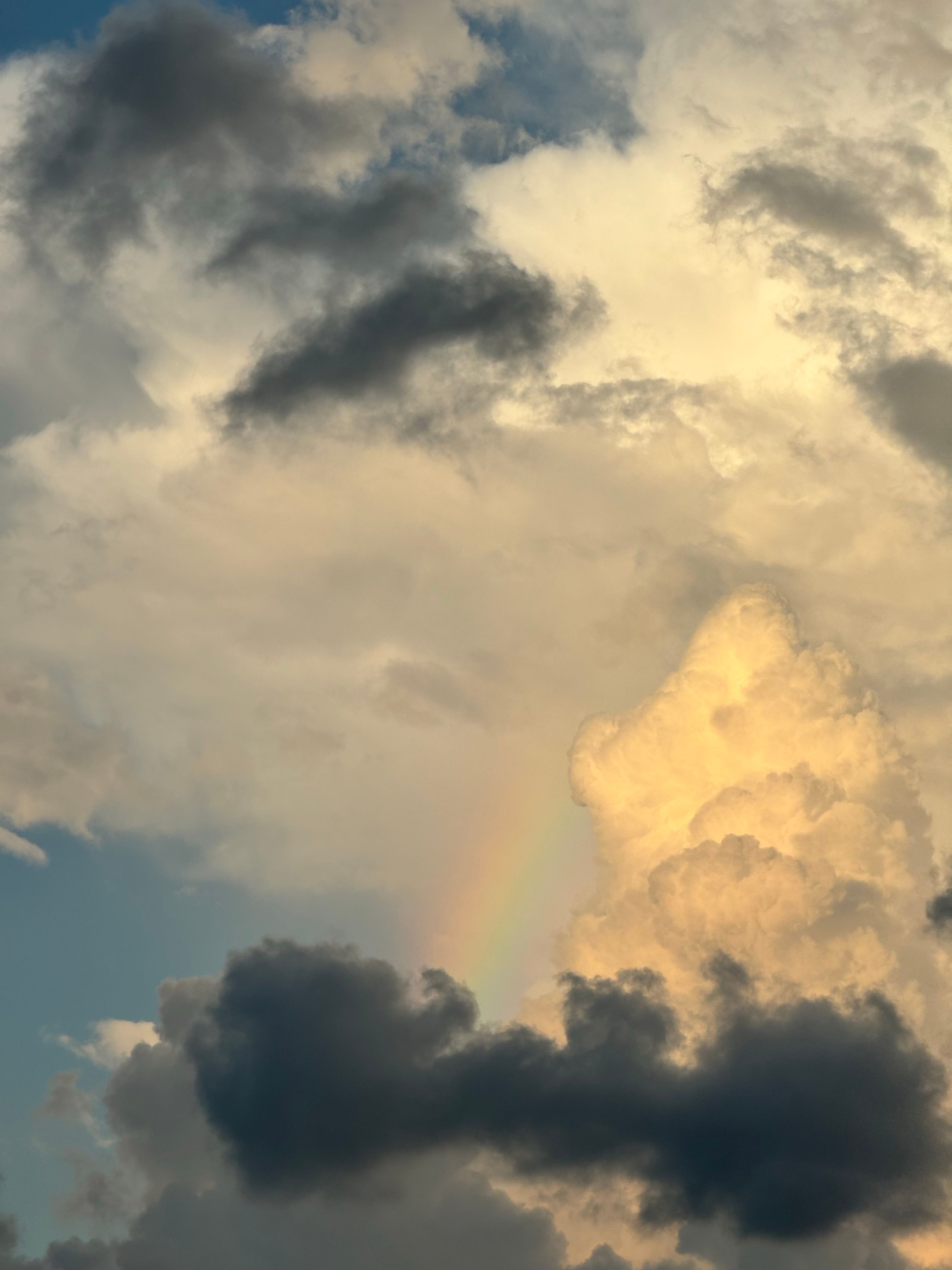 A rainbow is seen in the sky above clouds · Free Stock Photo