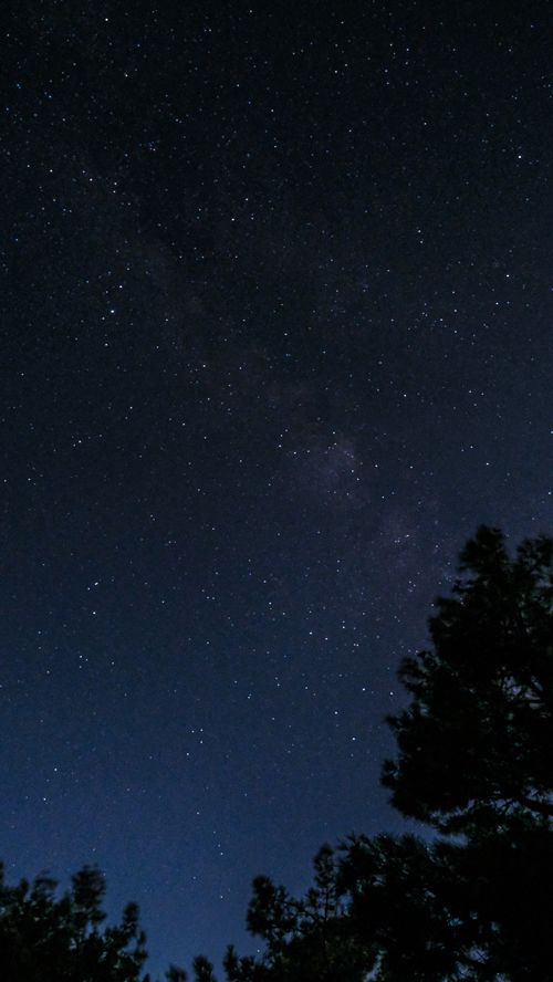 Free A captivating starry night sky showcasing the Milky Way with silhouetted trees. Stock Photo