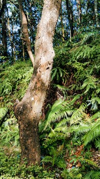 Vibrant tropical rainforest scene with dense ferns and tree trunks, showcasing nature's lush growth.