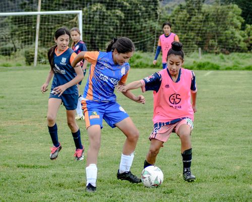 Free Energetic group of young girls playing soccer on a grassy field outdoors. Stock Photo