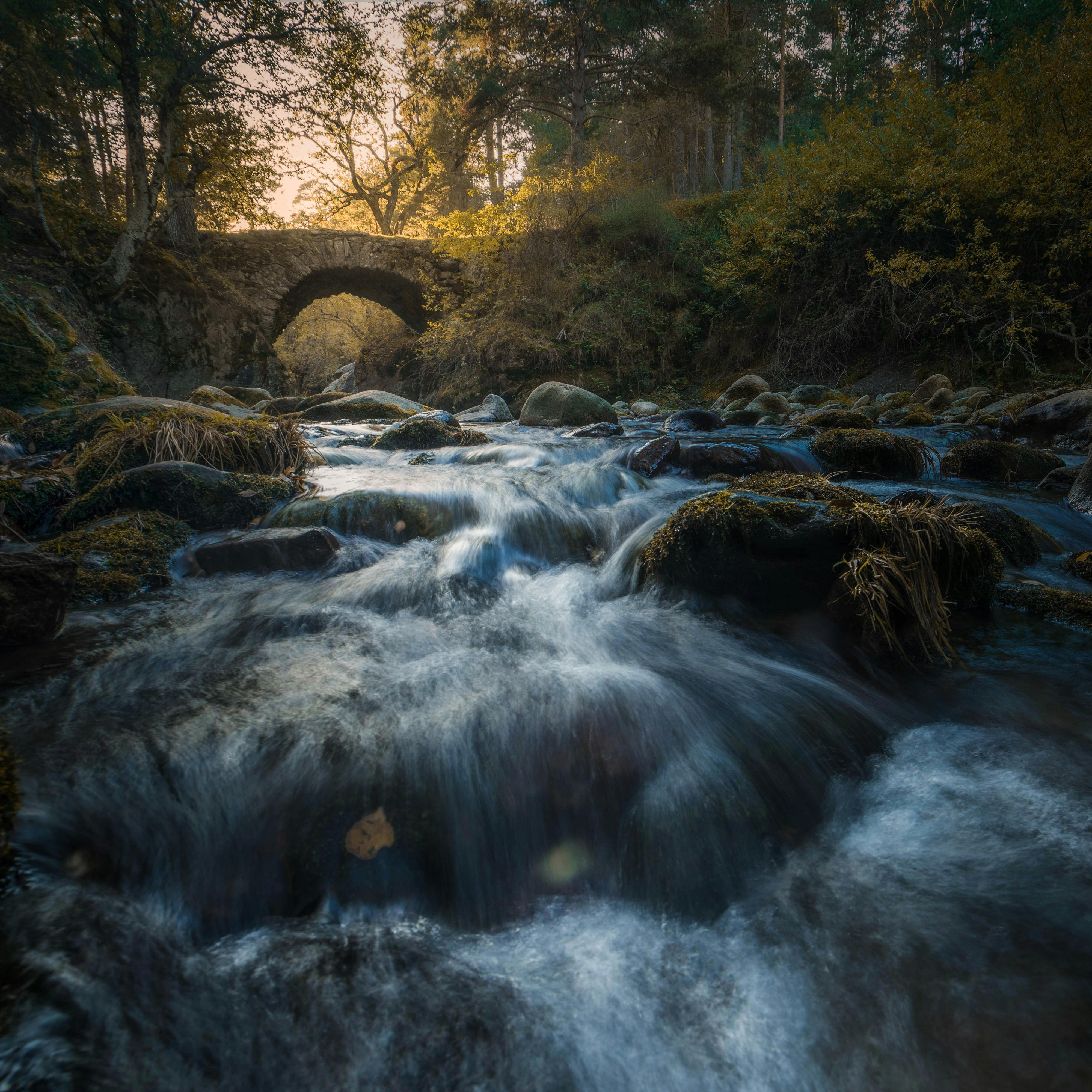 a river flowing under a bridge at sunset