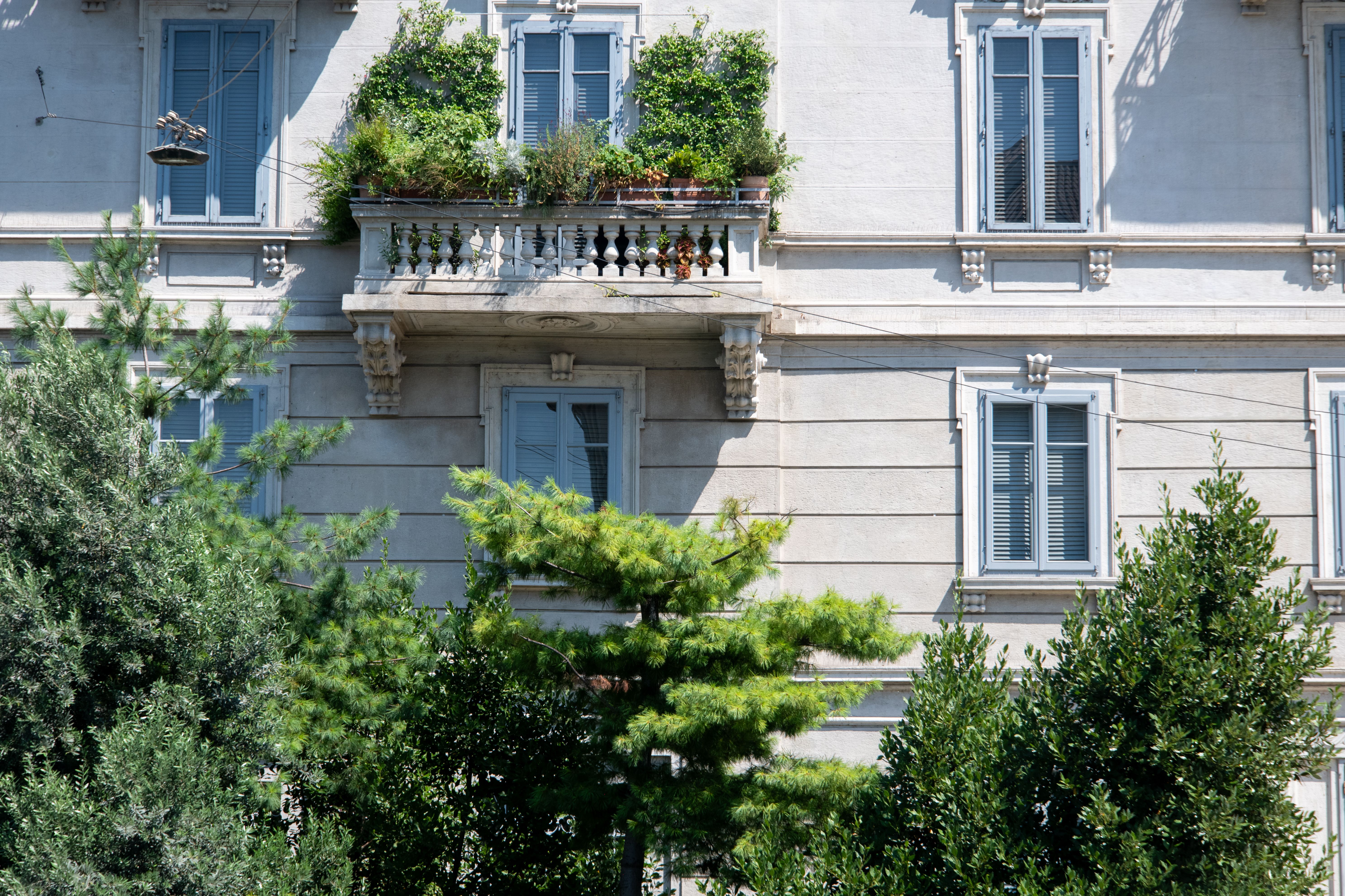 Balkon z zielonymi roślinami