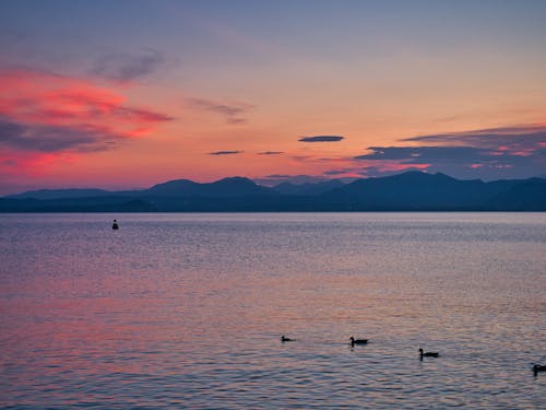 Kostenloses Stock Foto zu abend, aussicht, bardolino