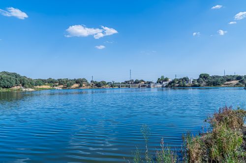 Free A tranquil lake scene with clear blue skies, distant bridge, and lush greenery. Stock Photo