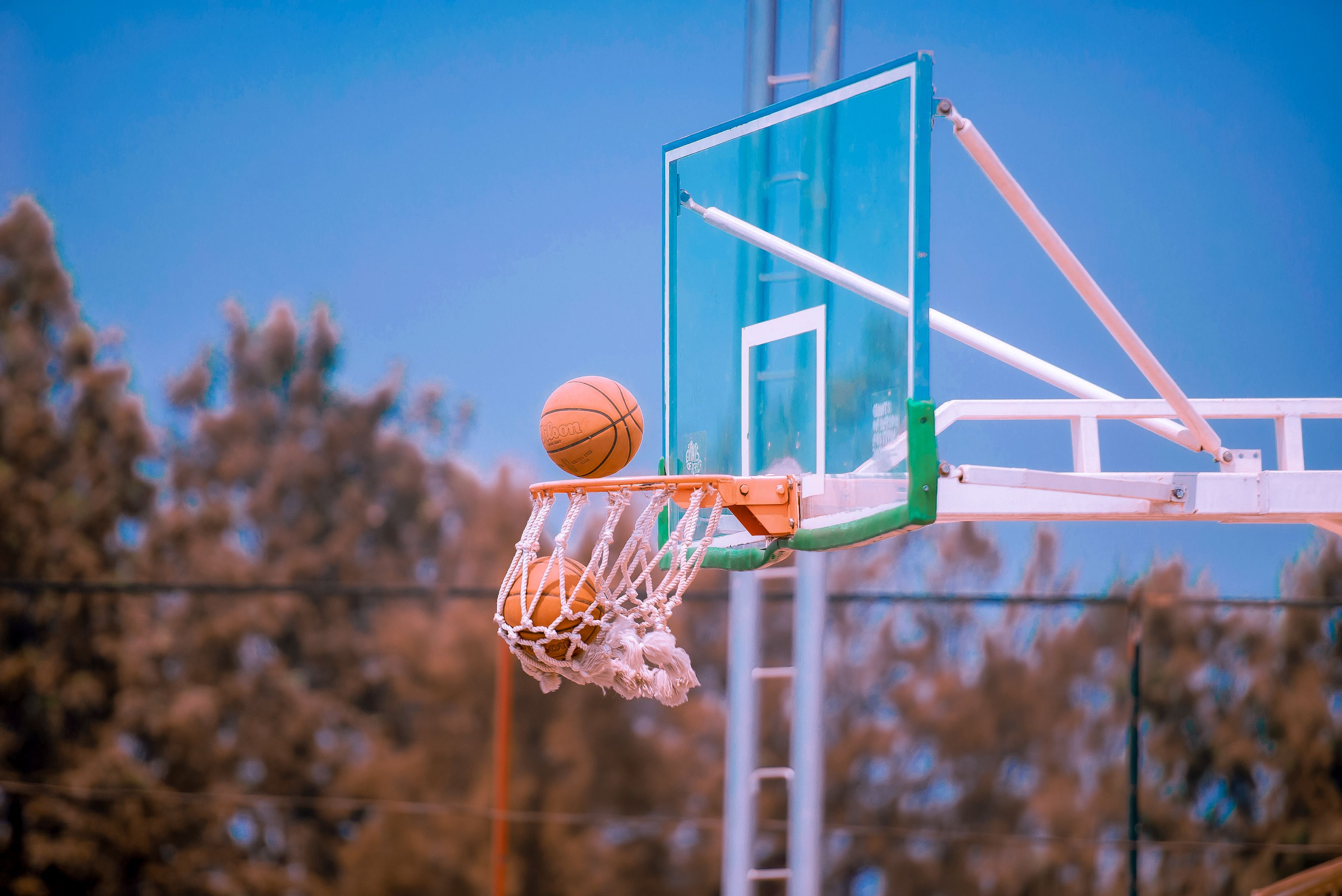 basketball betting bookmakers
