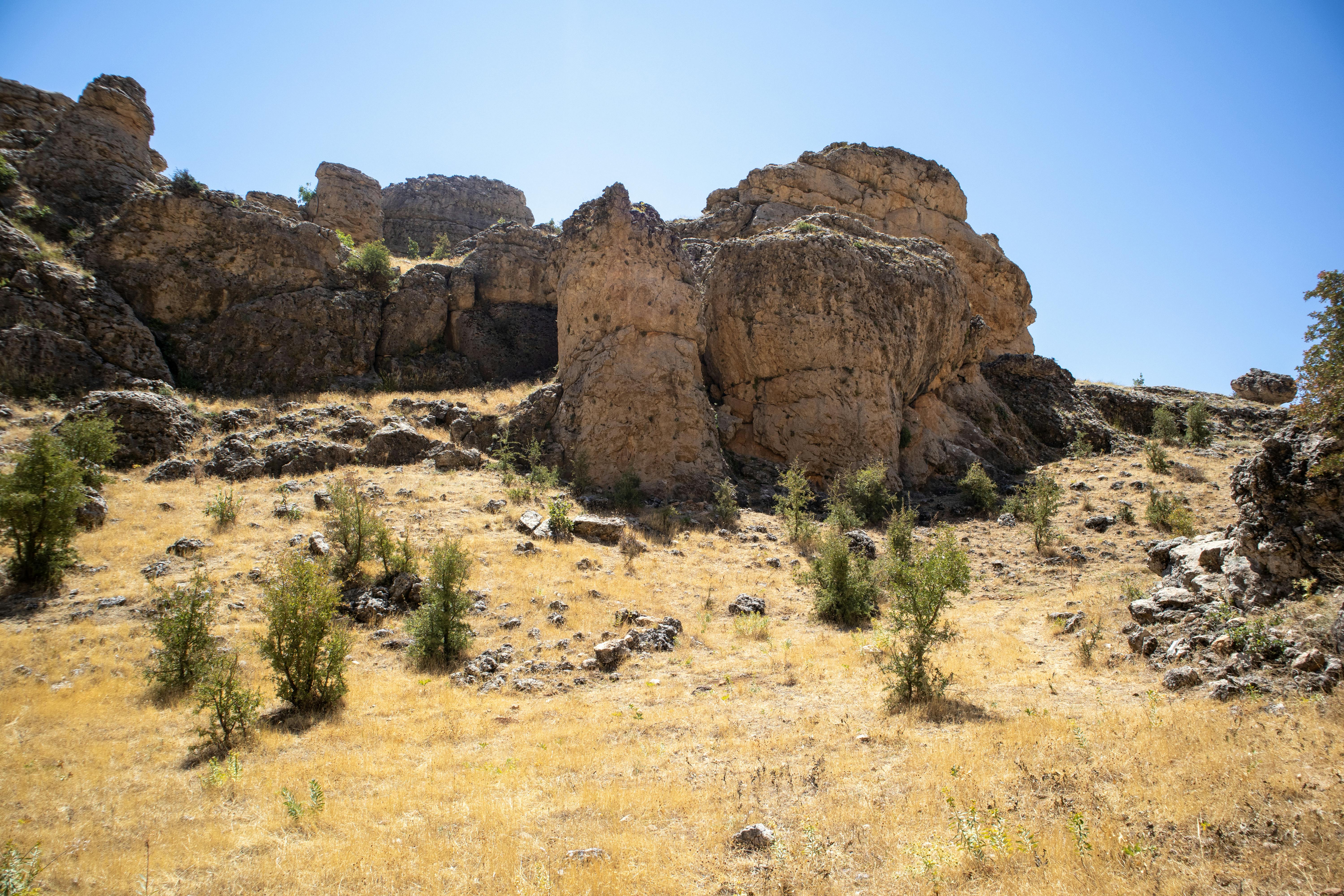 a rocky hill with some trees and grass