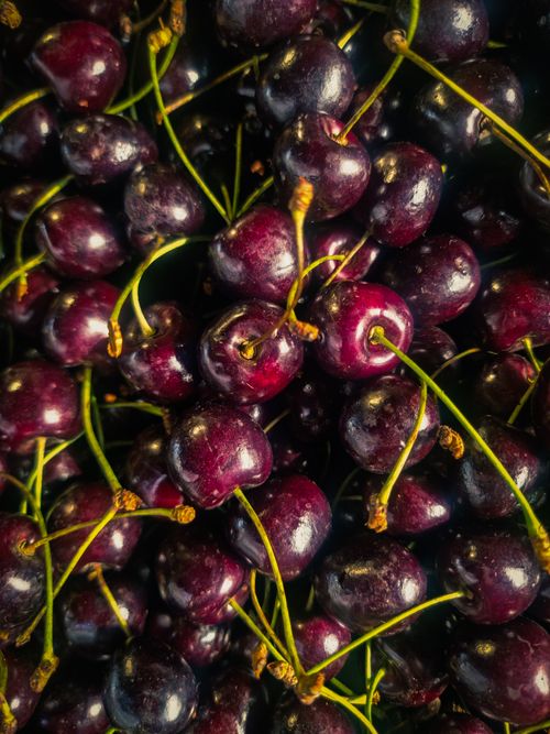 Free Cherry  Stock Photo