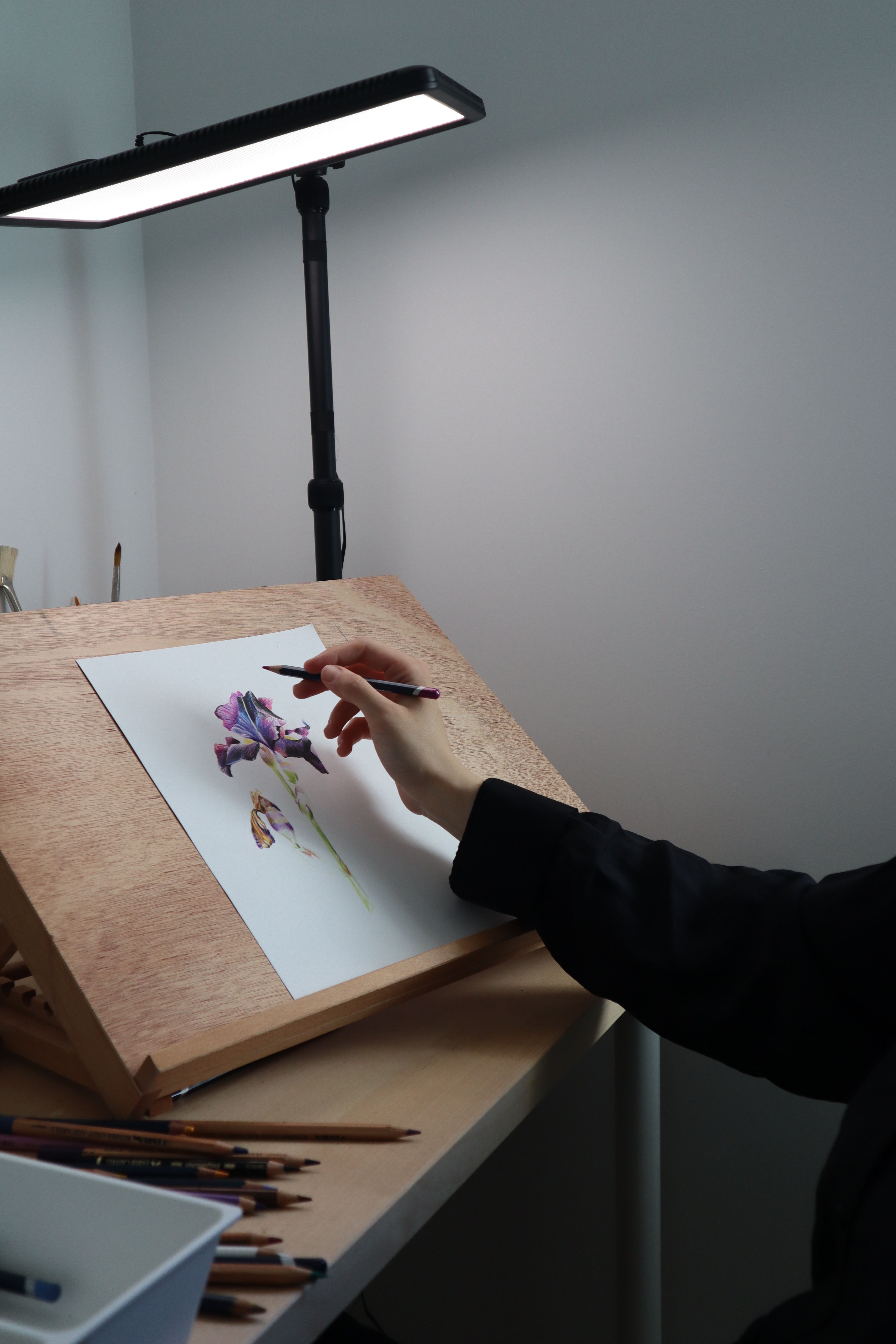An artist paints a purple flower on an easel under a studio lamp.