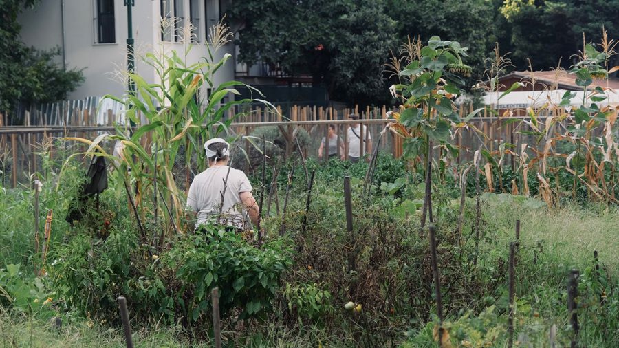 What Gardening With Kids Actually Teaches (And the Gear That Helps)