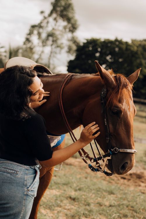 Free A woman gently embraces a horse in a serene outdoor setting, symbolizing friendship and care. Stock Photo