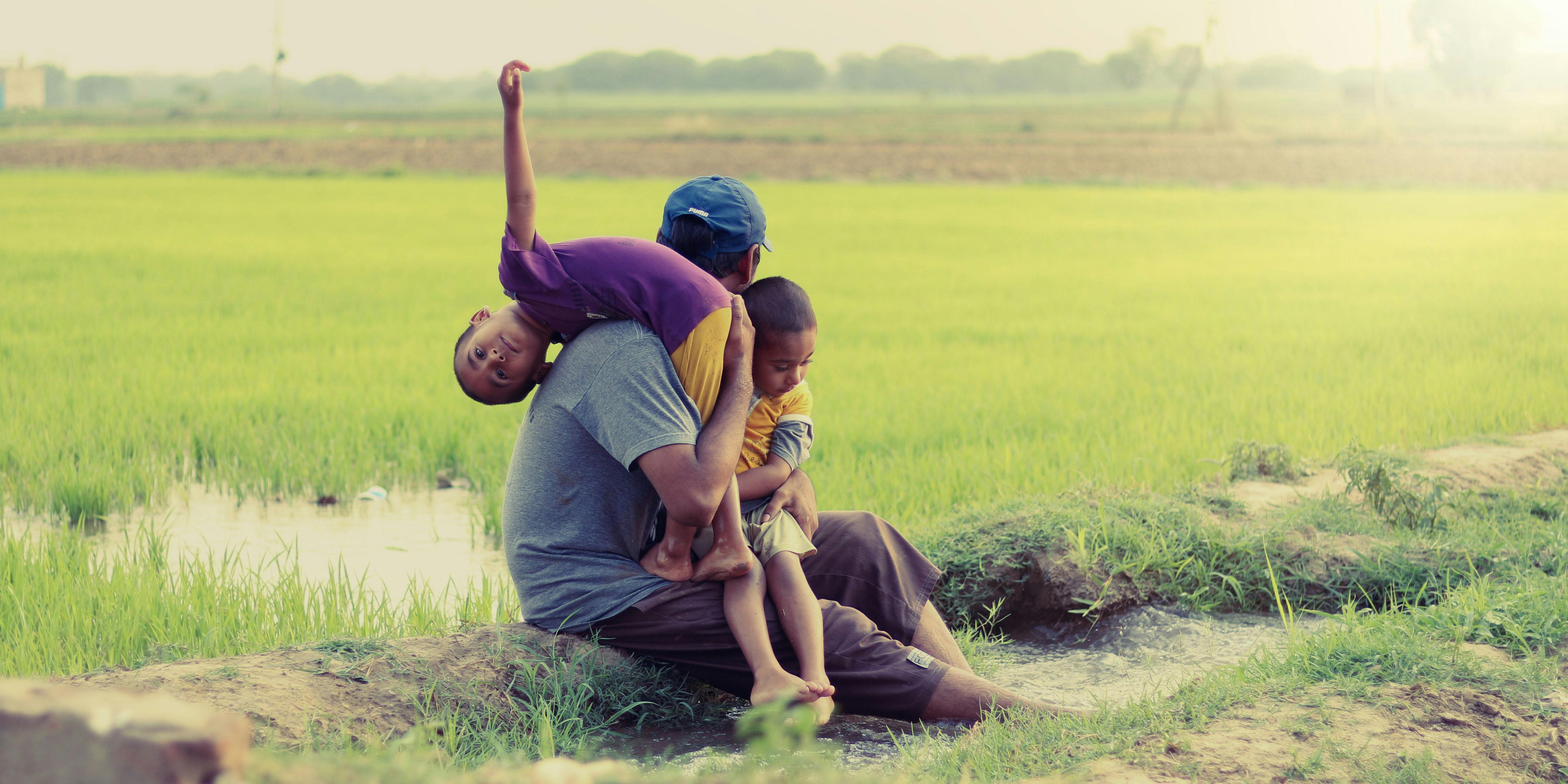 Free stock photo of field, grass field, punjabi kahani