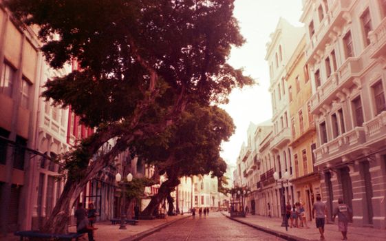 Vintage urban street scene in Recife with classic architecture and trees lining the avenue.