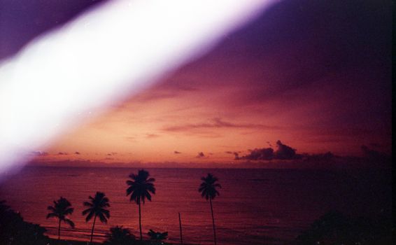 A captivating sunset over the ocean with palm tree silhouettes and vibrant colors, evoking tranquility.