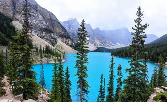 Beautiful view of Moraine Lake surrounded by mountains and evergreen trees in Jasper National Park, Canada.