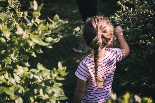 Free Young girl with braided hair enjoying a sunny day outdoors in a lush green garden. Stock Photo