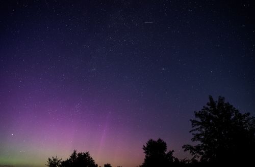 Free A breathtaking view of the night sky featuring an aurora and twinkling stars above a silhouette of trees. Stock Photo