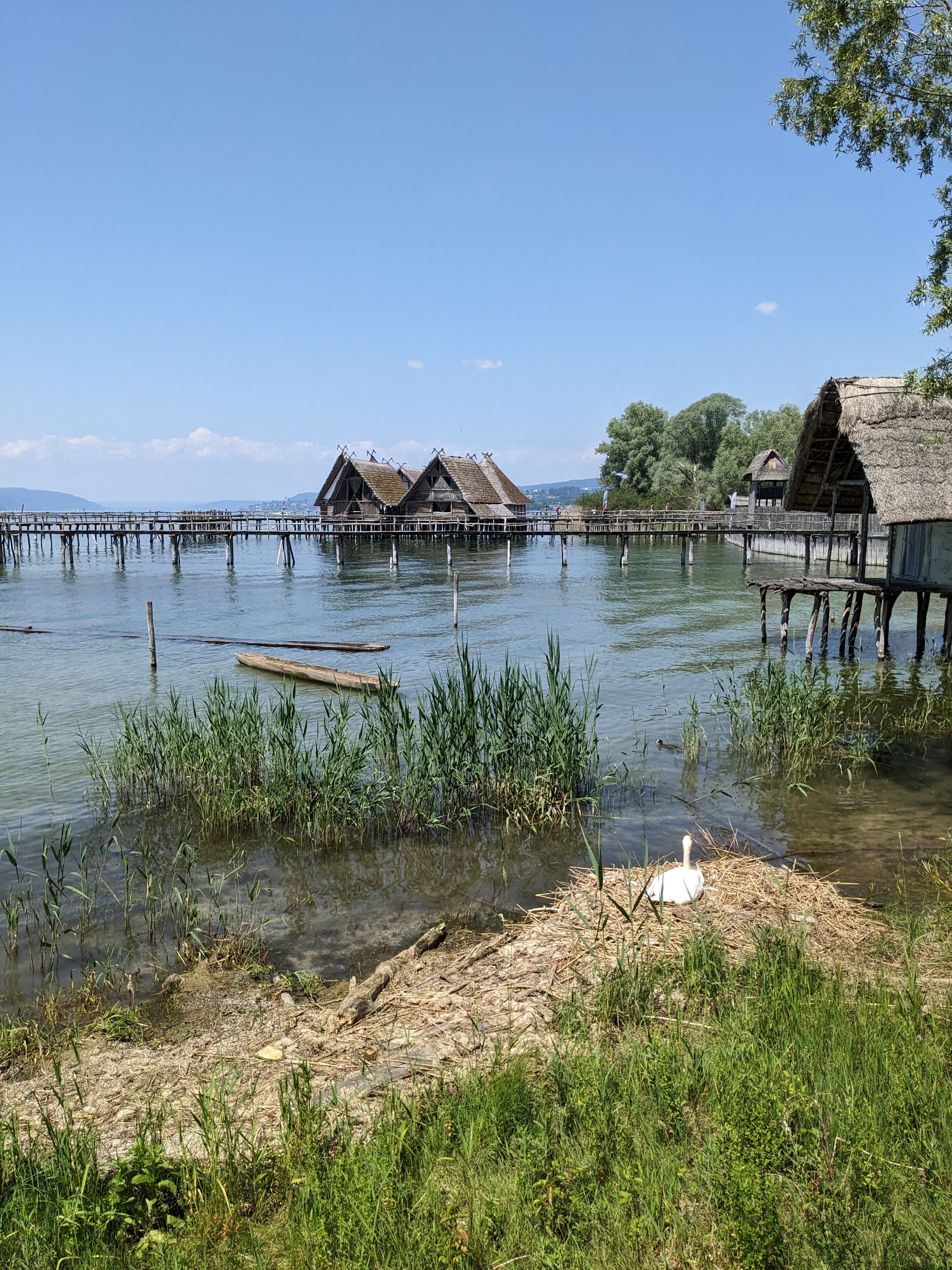 Stilt houses on Lake Constance in Uhldingen-Mühlhofen, Germany, with serene waterscape.