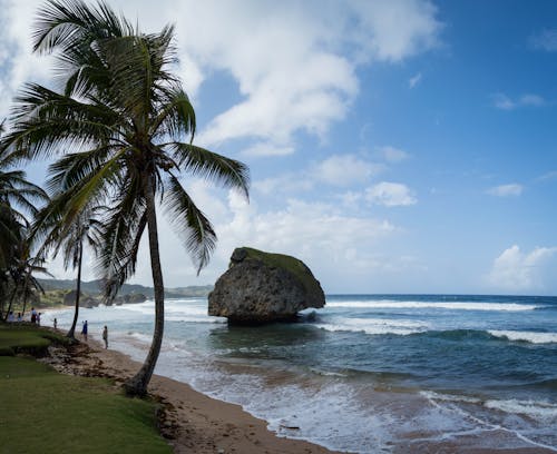 Free stock photo of barbados, bathsheba, beach