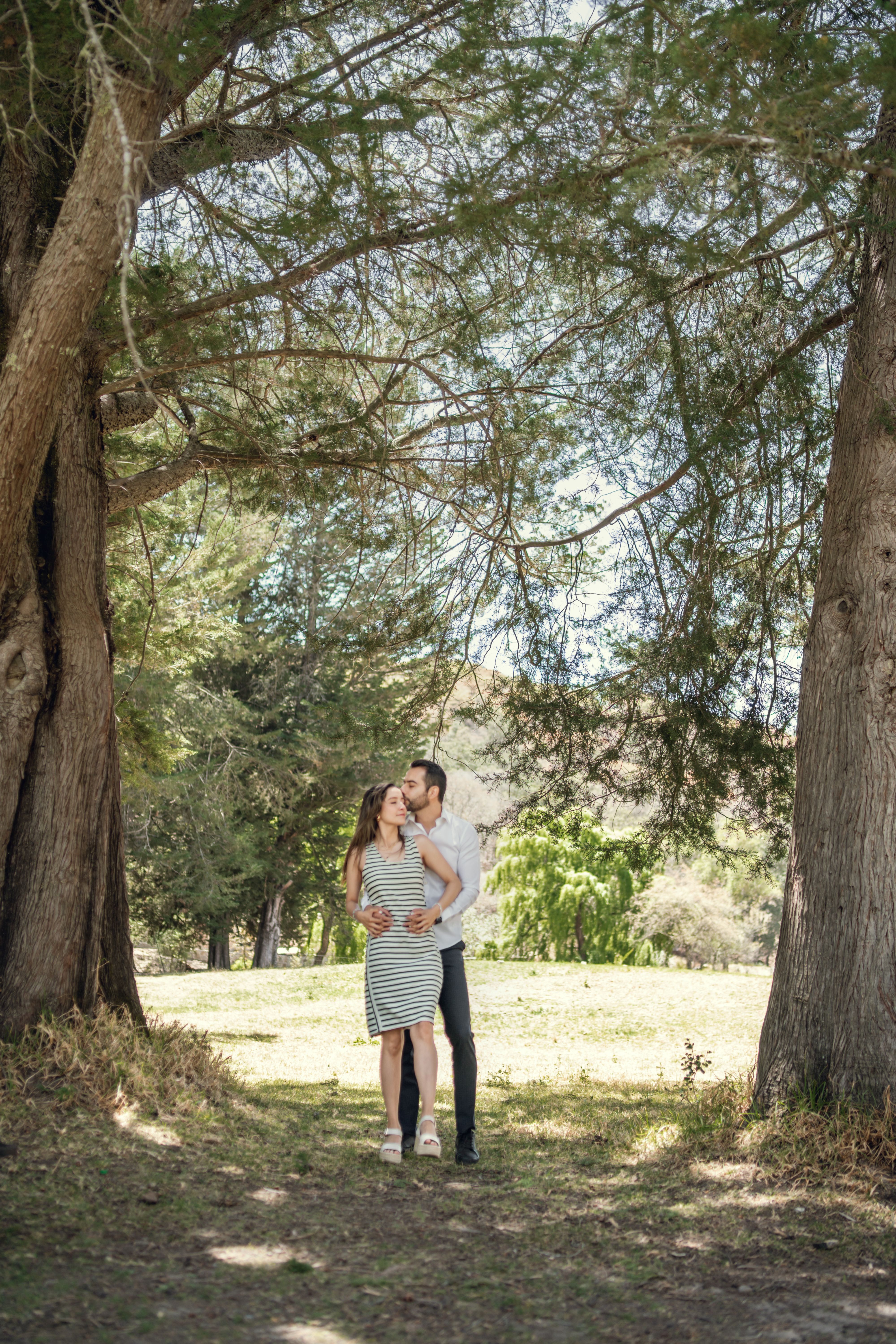 Foto de stock gratuita sobre abrazar, afecto, afuera, al aire libre ...