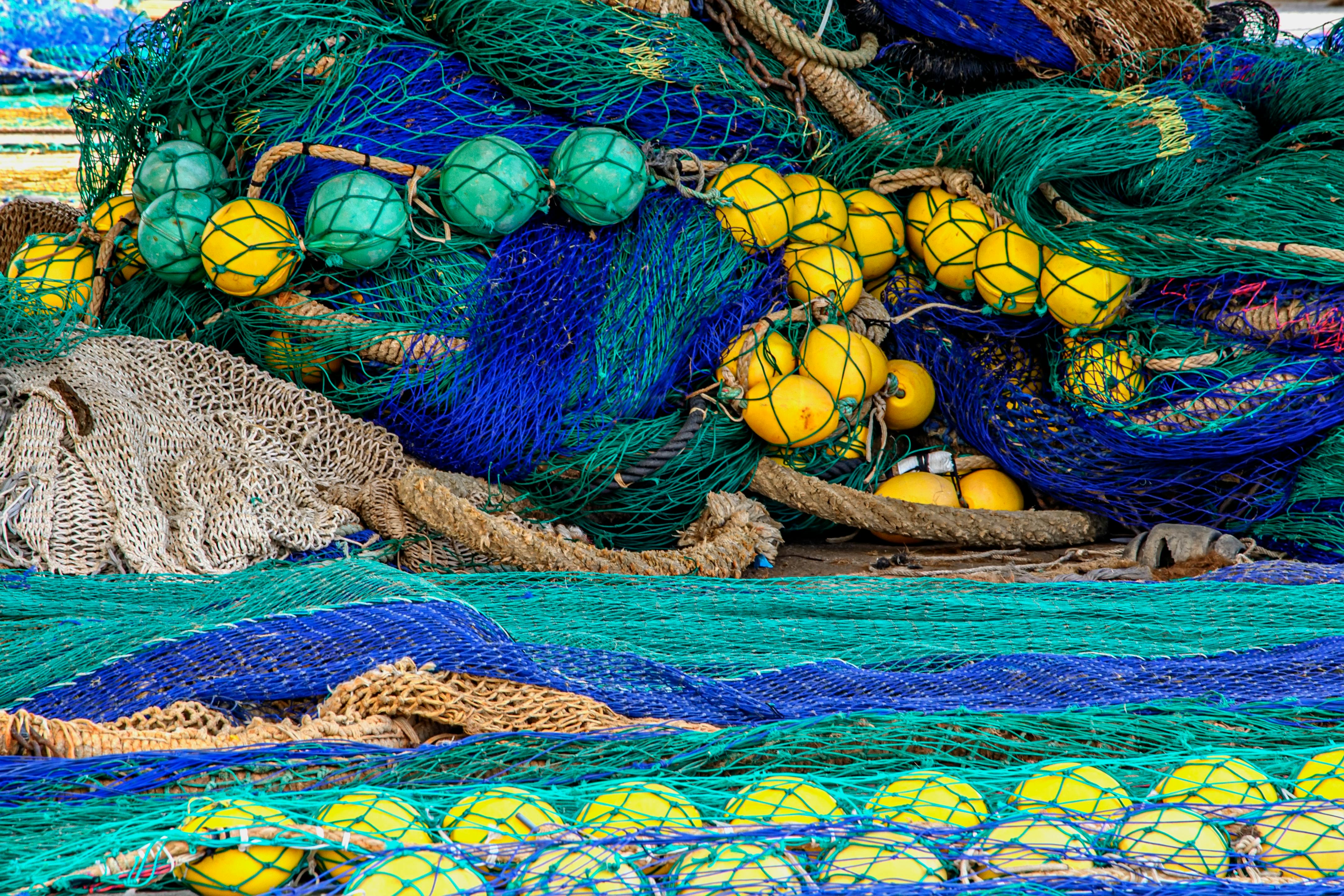 Gratis Immagine gratuita di a rete, attrezzatura, attrezzi da pesca Foto a disposizione