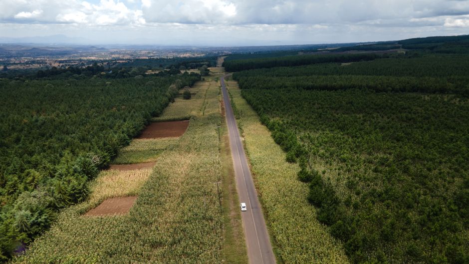 Outstanding 9 Day Northern Circuit Route Kilimanjaro Private Expedition Review 2026 - Aerial view of scenic road through lush farmland in Tarakea, Kilimanjaro Region, Tanzania.