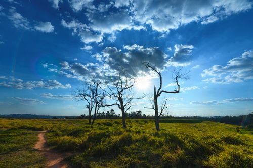 Free Serene countryside view with trees silhouetted against a vibrant sunset. Stock Photo