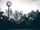 公园的树木背景前，一组时钟营造出超现实的场景