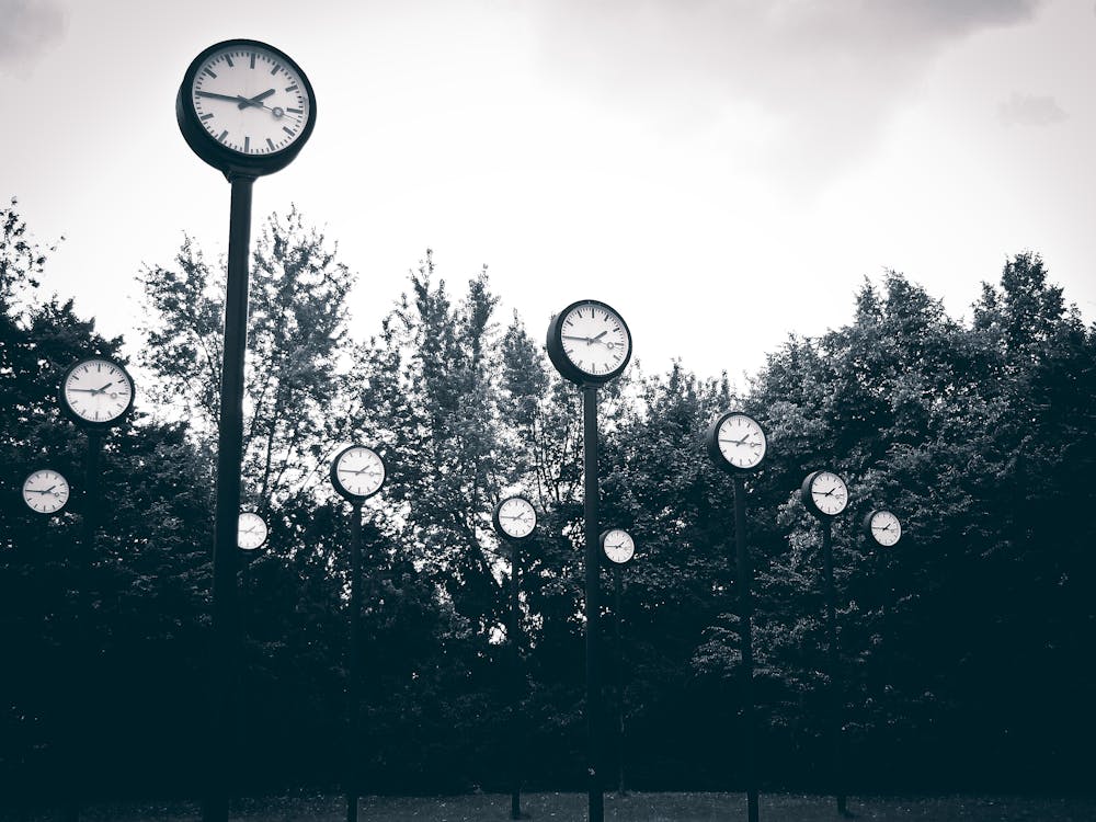 Gray Scale Photography of Clock Near Trees