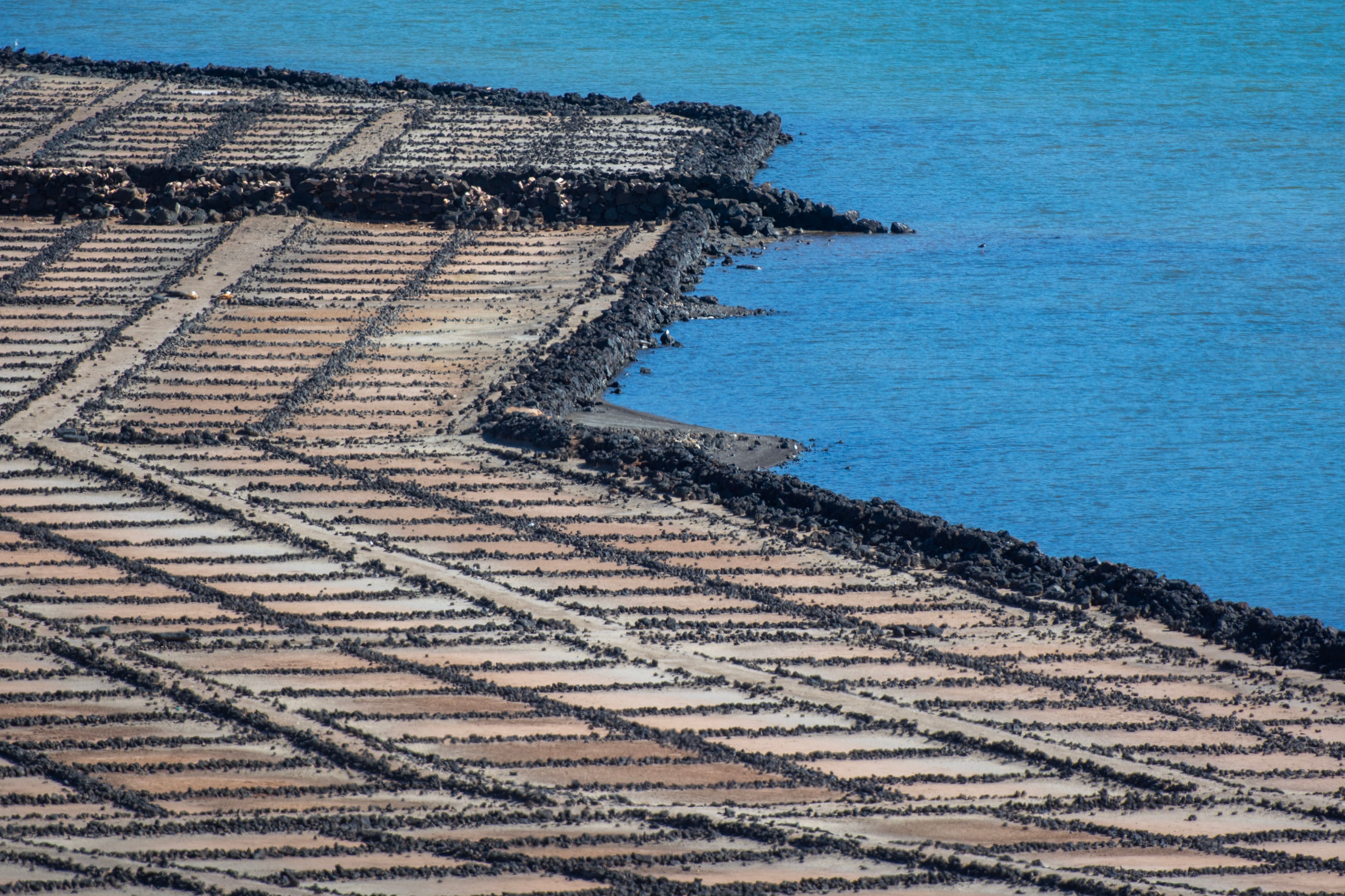 sea salt harvesting evaporation ponds ocean seawater