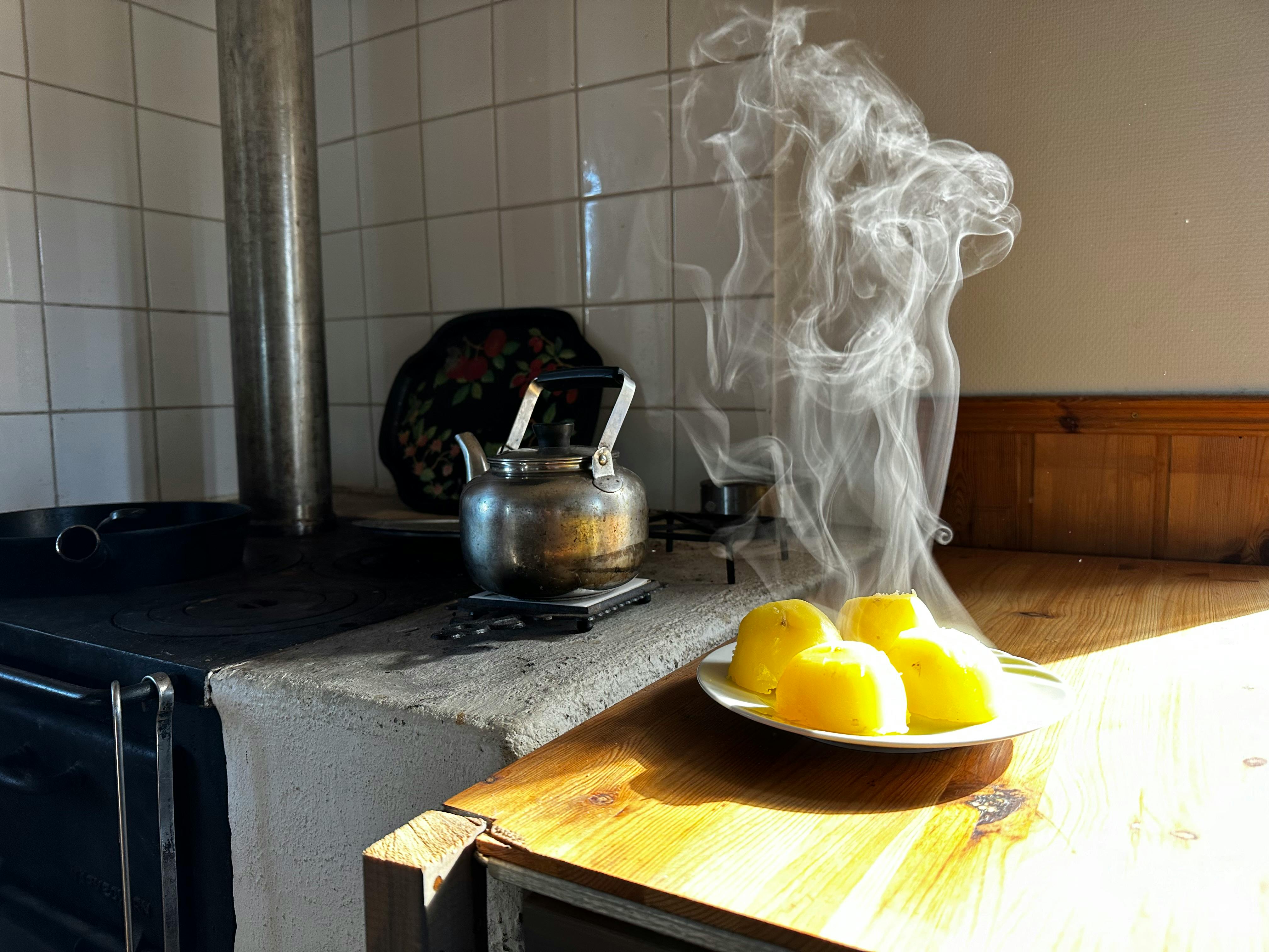 How to get rid of cockroaches: 5 easy free kitchen hacks that work — Photo by Robert de Blok on Pexels