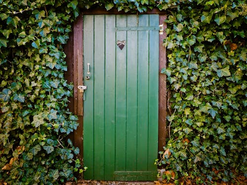 Green Door and Green-leafed Plants