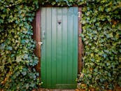 一扇充满活力的绿色木门被郁郁葱葱的常春藤环绕，营造出自然而质朴的入口