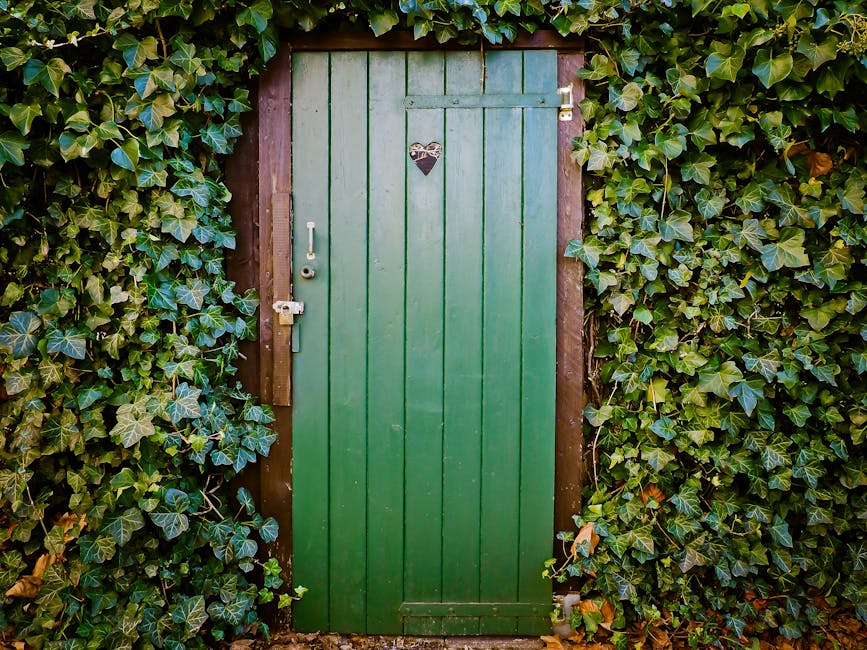 architecture, door, entrance