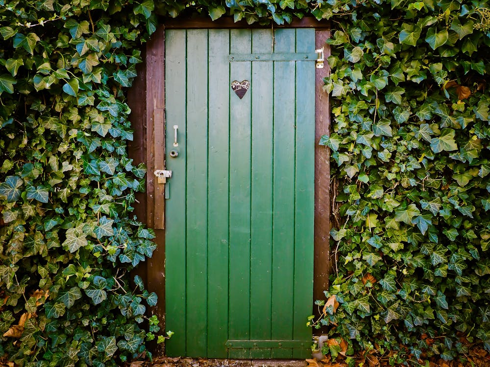 бесплатная Зеленая дверь и зеленолистные растения Стоковое фото
