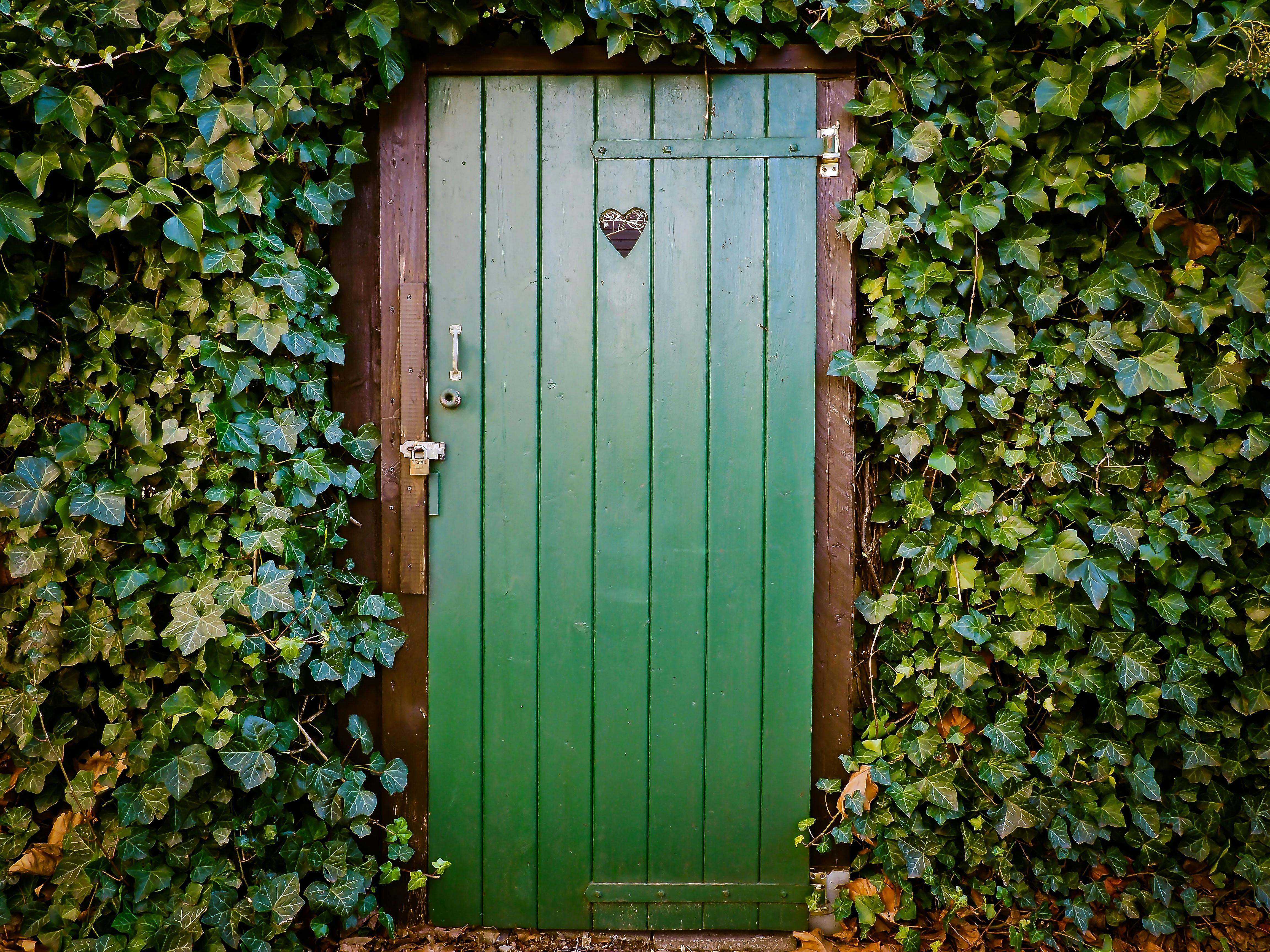 Open Door Images - Free Download on Freepik