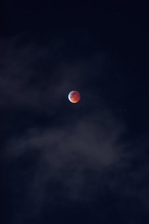 Blood Moon on a Dark Sky 